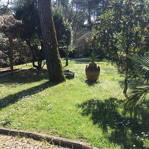 Old Town in the green: Federico's apartment.